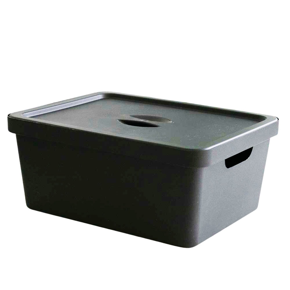 Caixa Organizadora 10 Litros com Tampa Caixa Organizadora 10 Litros com Tampa