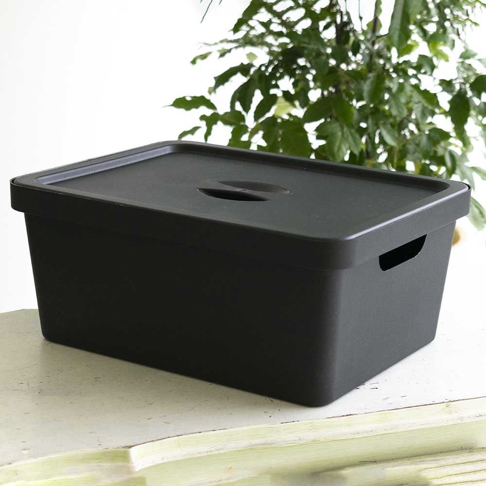 Caixa Organizadora 10 Litros com Tampa Caixa Organizadora 10 Litros com Tampa