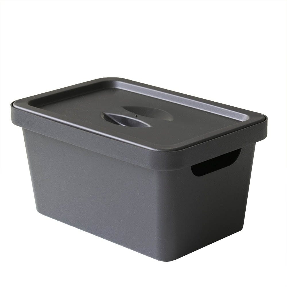 Caixa Organizadora 3 Litros com Tampa Caixa Organizadora 3 Litros com Tampa