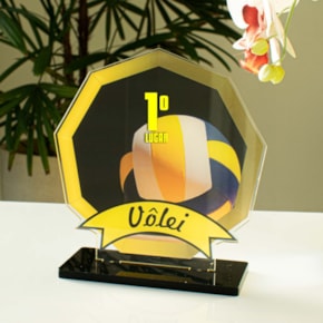 Conjunto de Troféus em Acrílico Competição de Vôlei