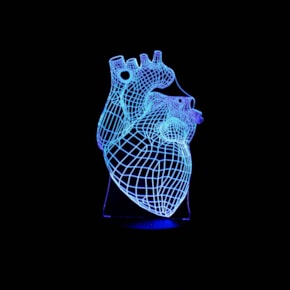 Luminária de Led - Coração Humano