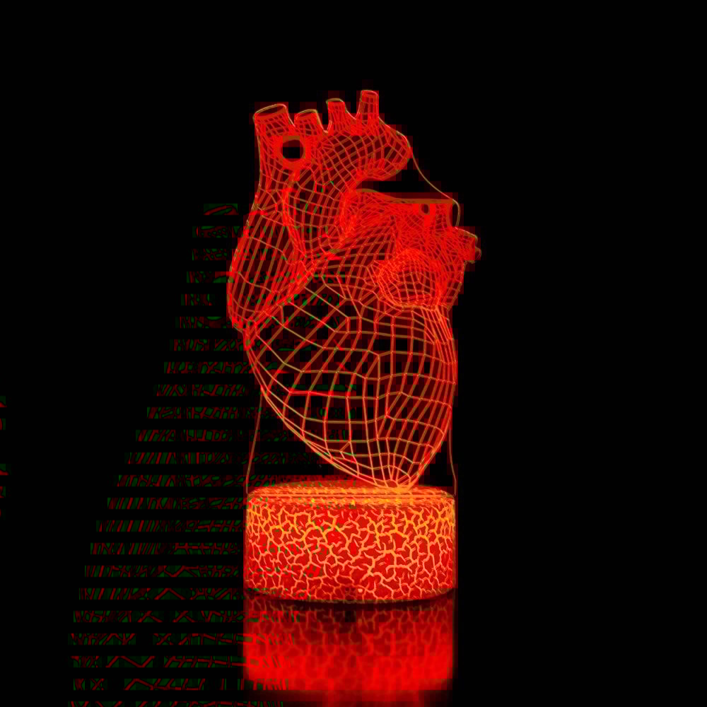 Luminária de Led - Coração Humano Anatomia Luminária de Led - Coração Humano Anatomia