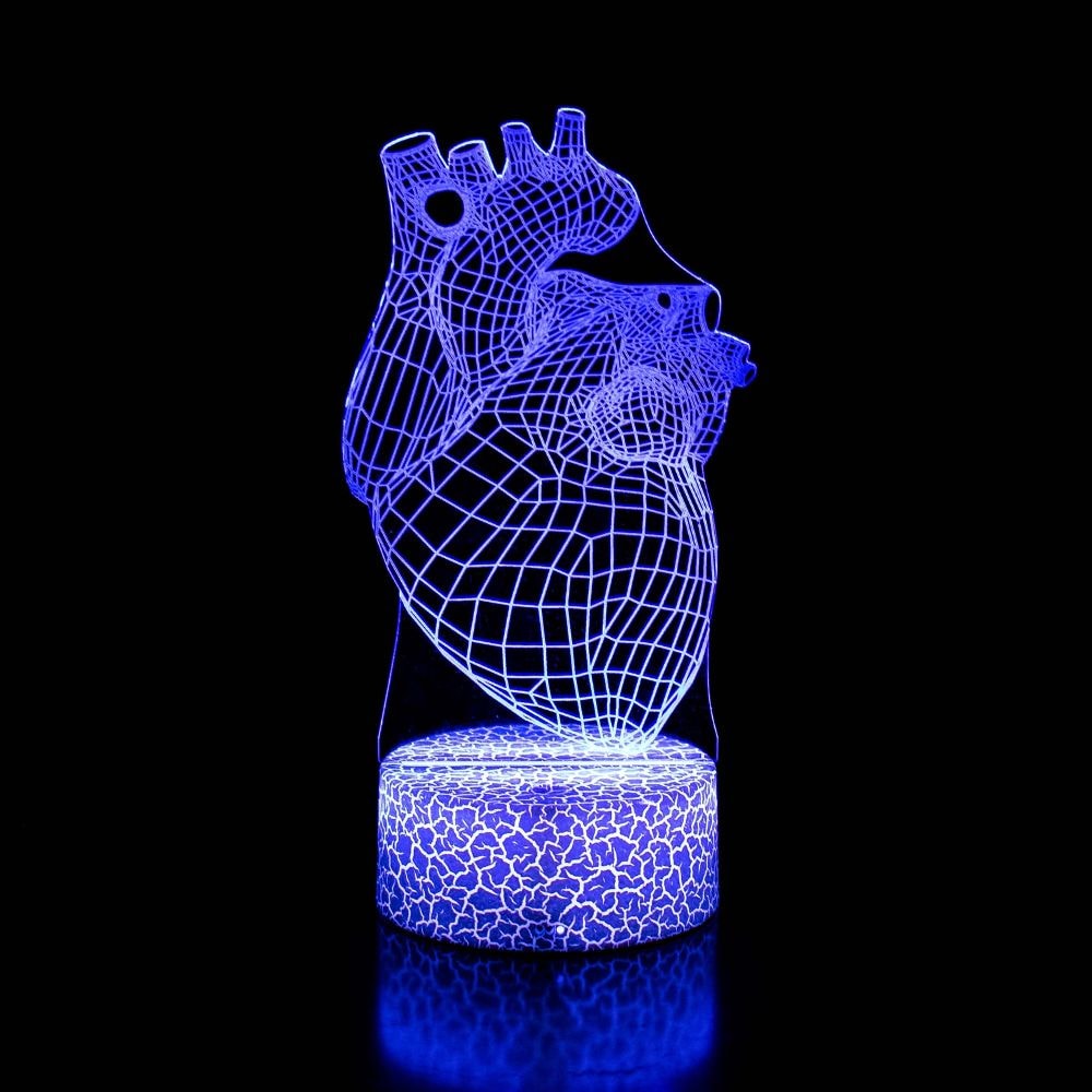 Luminária de Led - Coração Humano Anatomia Luminária de Led - Coração Humano Anatomia