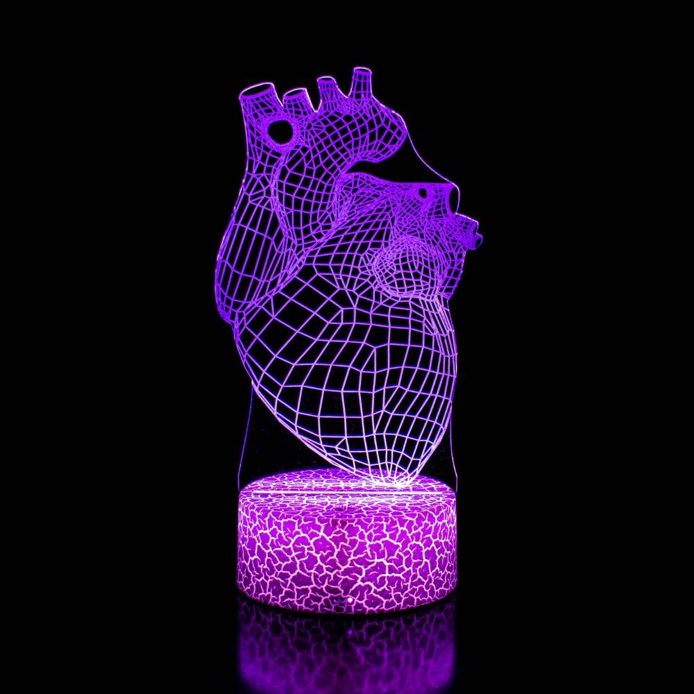 Luminária de Led - Coração Humano Anatomia Luminária de Led - Coração Humano Anatomia