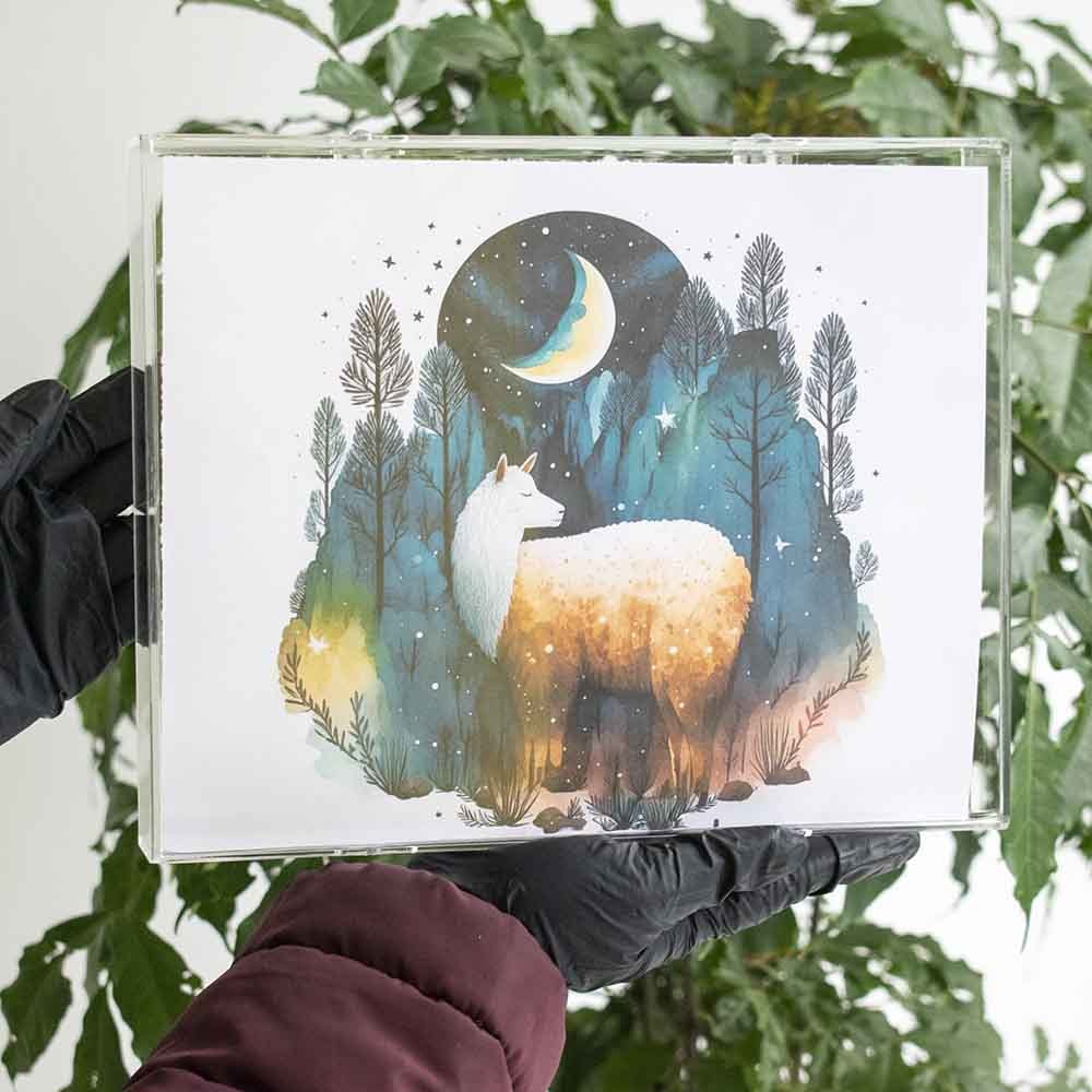 Moldura Caixa de Acrílico Cristal 21x30cm