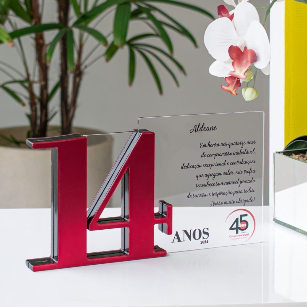 Placa Homenagem em Acrílico Personalizada 14 Anos Placa Homenagem em Acrílico Personalizada 14 Anos