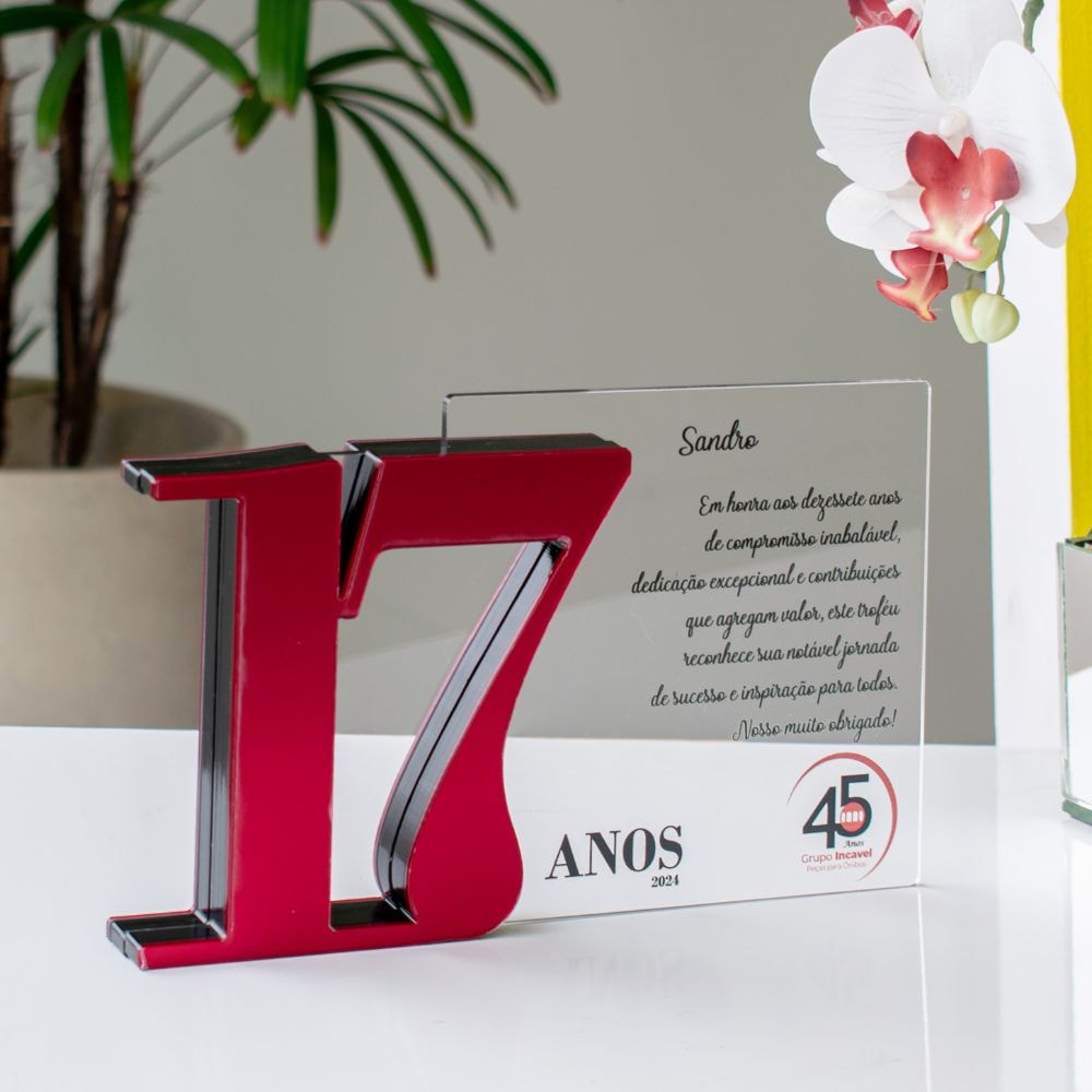 Placa Homenagem em Acrílico Personalizada 17 Anos Placa Homenagem em Acrílico Personalizada 17 Anos