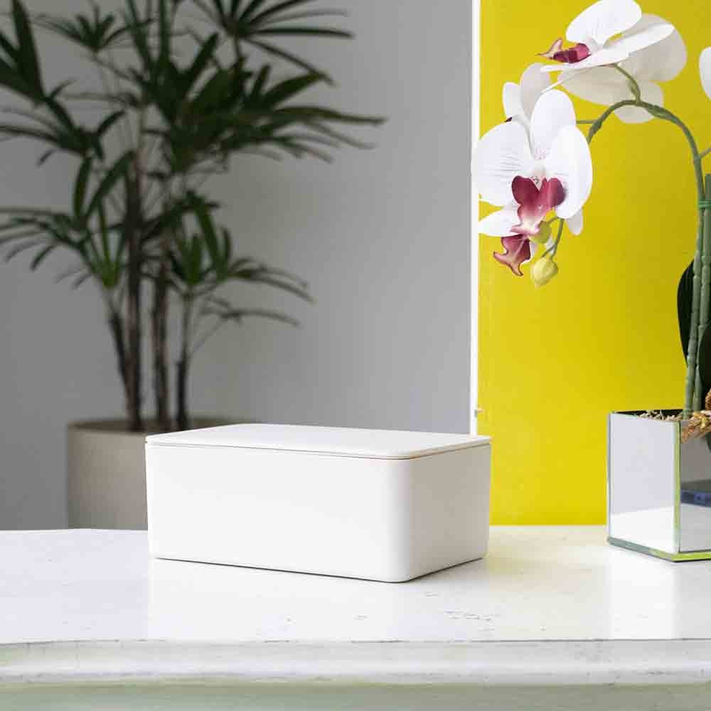 Porta Lenço e Máscaras Descartável Porta Lenço e Máscaras Descartável